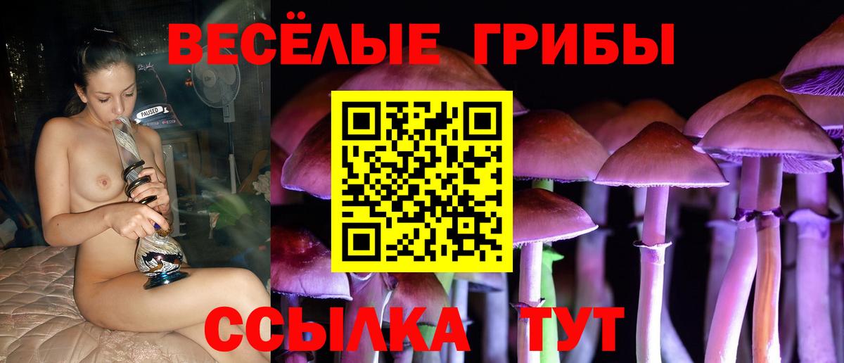 Вязники  Галлюциногенные грибы Magic Shrooms  Вход с VPN 